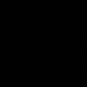 Meet your Posher, Chandler